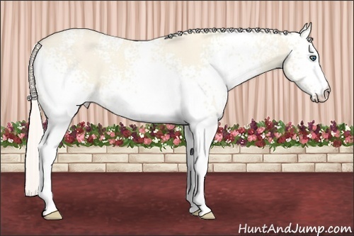 Horse Color:White Spotted Cremello Dun 