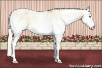 Horse Color:White Spotted Cremello Dun 