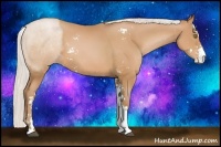 Horse Color:Silver Bay Pearl Sabino