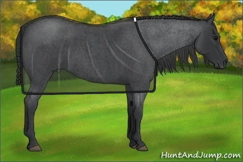 Horse Color:Blue Roan 