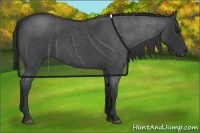 Horse Color:Blue Roan 