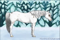 Horse Color:Buckskin Sabino
