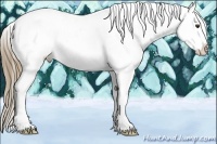 Horse Color:Liver Red Dun Splash Frame Varnish 