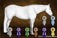 Horse Color:Gray White Spotted Perlino Dun Sabino 