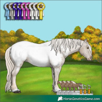 Horse Color:Chocolate Palomino Mushroom Near Fewspot