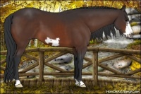 Horse Color:Bay Frame
