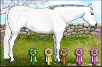 Horse Color:Gray Black Rabicano 