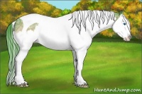 Horse Color:Watercolor Bay Ice Roan Splash Tobiano 