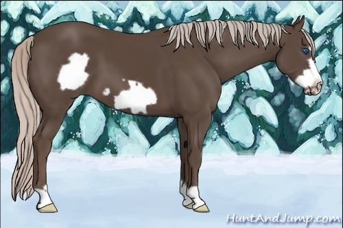 Horse Color:Silver Black Frame 