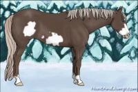 Horse Color:Silver Black Frame 