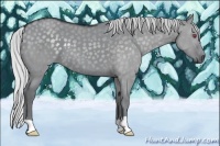 Horse Color:Silver Grullo Chinchilla 