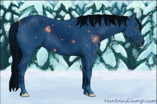 Horse Color:ERROR: UNKNOWN ANOMALY