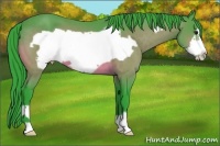 Horse Color:Watercolor Bay Frame