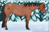 Horse Color:Bay Roan 