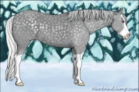 Horse Color:Silver Classic Champagne Chinchilla Splash