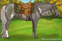 Horse Color:White Spotted Silver Black Tobiano