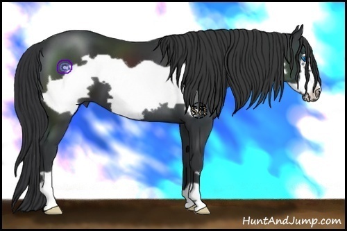 Horse Color:Black Frame