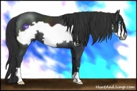 Horse Color:Black Frame 