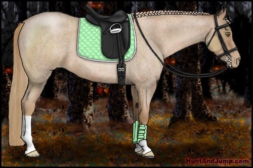 Horse Color:Liver Red Roan Pearl 