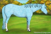 Horse Color:Watercolor Black Ice Tobiano 