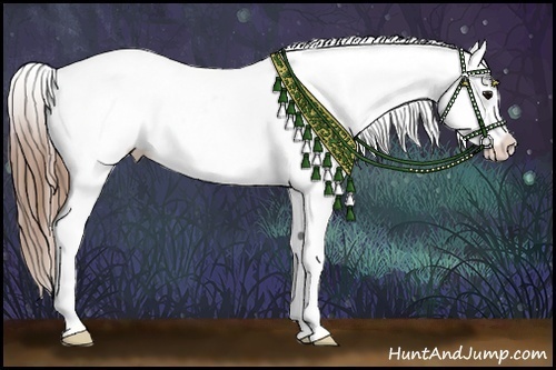 Horse Color:Buckskin Blanket