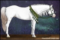 Horse Color:Buckskin Appaloosa
