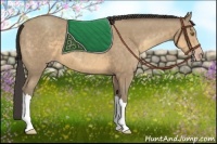 Horse Color:Sable Cream Champagne 