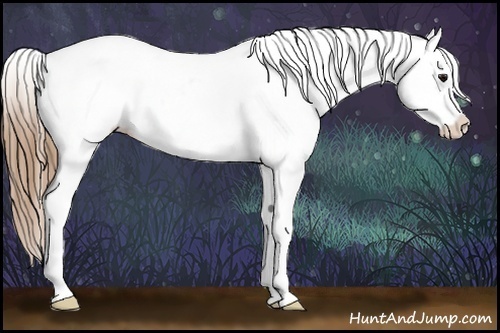 Horse Color:White Spotted Buckskin Appaloosa Rabicano