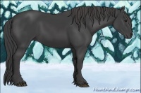 Horse Color:Smoky Black Sabino