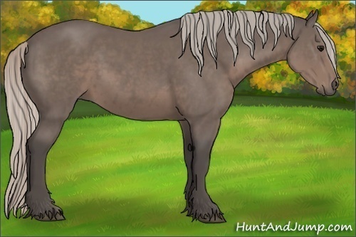 Horse Color:Silver Black 