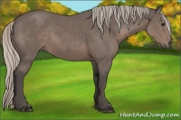 Horse Color:Silver Black