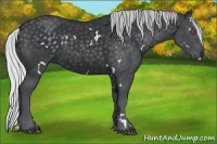 Horse Color:White Spotted Silver Black Chinchilla 