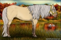 Horse Color:Silver Bay Dun 