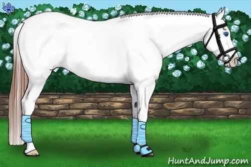 Horse Color:Chestnut Splash Tobiano Varnish 