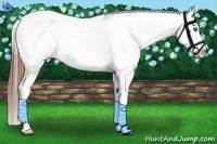Horse Color:Chestnut Splash Tobiano Varnish 
