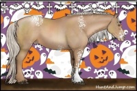 Horse Color:White Spotted Silver Black Pearl Sabino