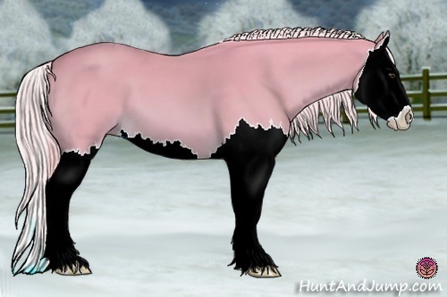 Horse Color:Watercolor Chestnut Splash 