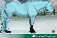 Horse Color:Watercolor Black Tobiano 