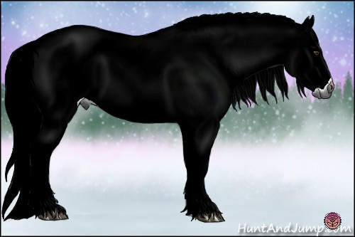 Horse Color:Gray Watercolor Chestnut 
