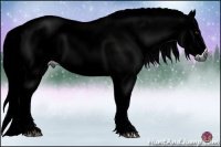 Horse Color:Gray Watercolor Chestnut
