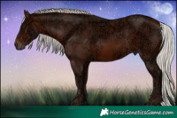 Horse Color:Silver Brown Ice 