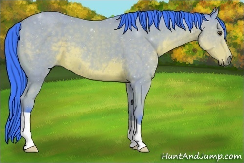 Horse Color:Watercolor Buckskin 