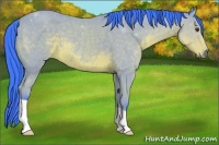 Horse Color:Watercolor Buckskin 