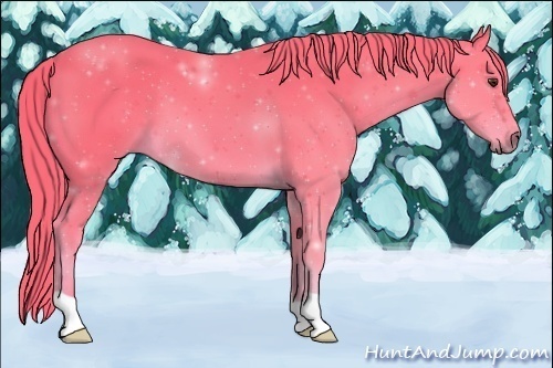 Horse Color:Watercolor Chestnut 