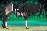Horse Color:Blue Onyx 