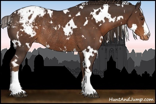 Horse Color:White Spotted Liver Chestnut Appaloosa Rabicano 