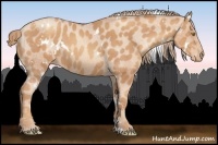 Horse Color:White Spotted Gold Champagne Varnish 