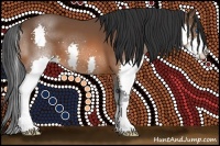 Horse Color:Bay Splash 