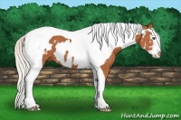 Horse Color:Silver Bay Splash Tobiano Frame 