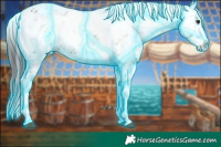 Horse Color:Thunderstruck Chocolate Brown Onyx Sabino Splash 